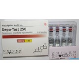 DEPO TEST 250 (amp)